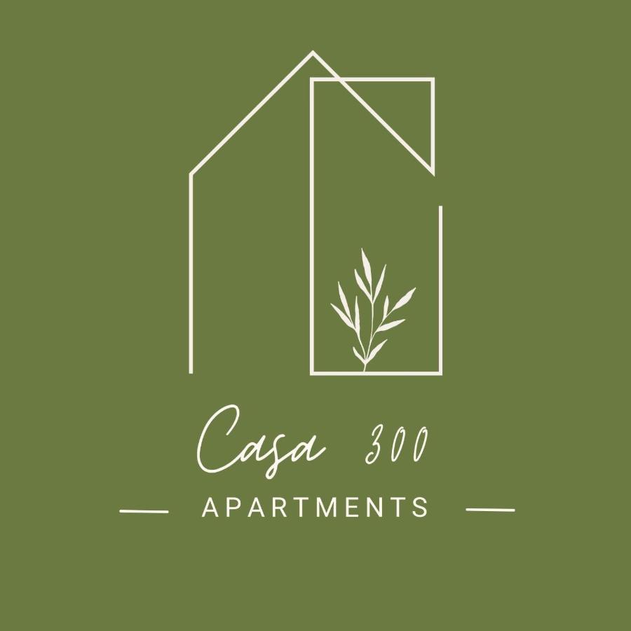 Casa 300 Apartma *